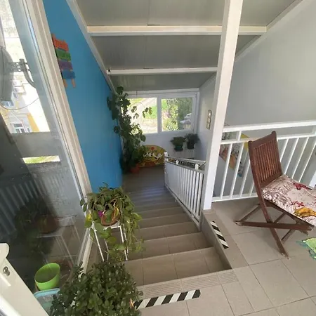 Crazy House * Pola