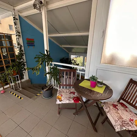 Hostel Crazy House