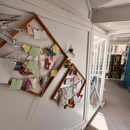 بيت شباب Sol Garden - With A Soul *