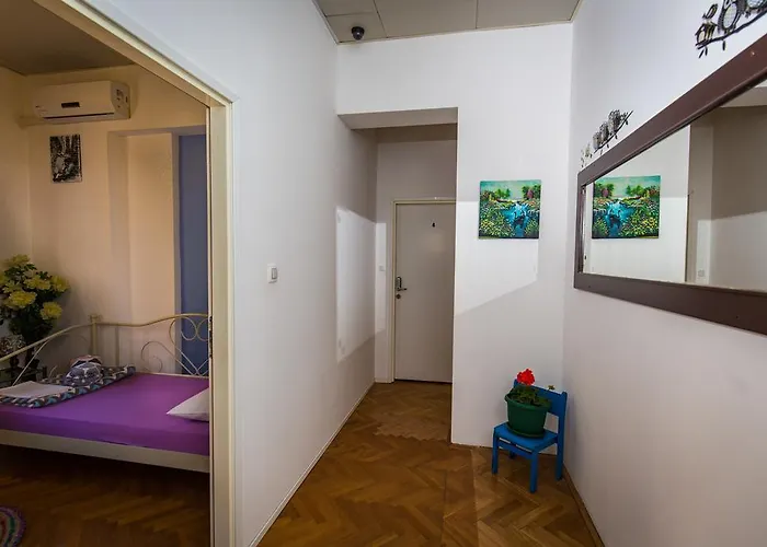 Hostel Sol Garden - With A Soul Pula